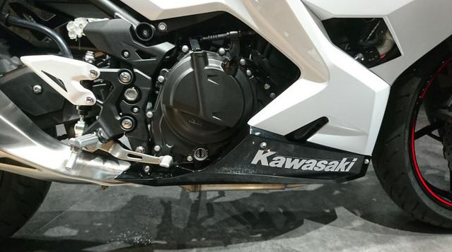 Can Ban Kawasaki Ninja 400 Doi 2020 - 7